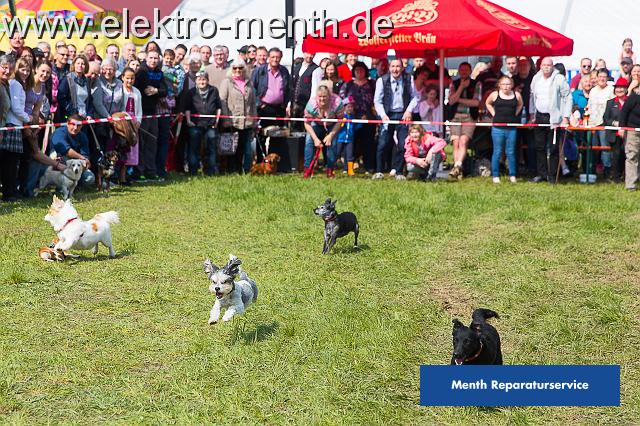 D - Foto Laudi Samstag -8076.JPG